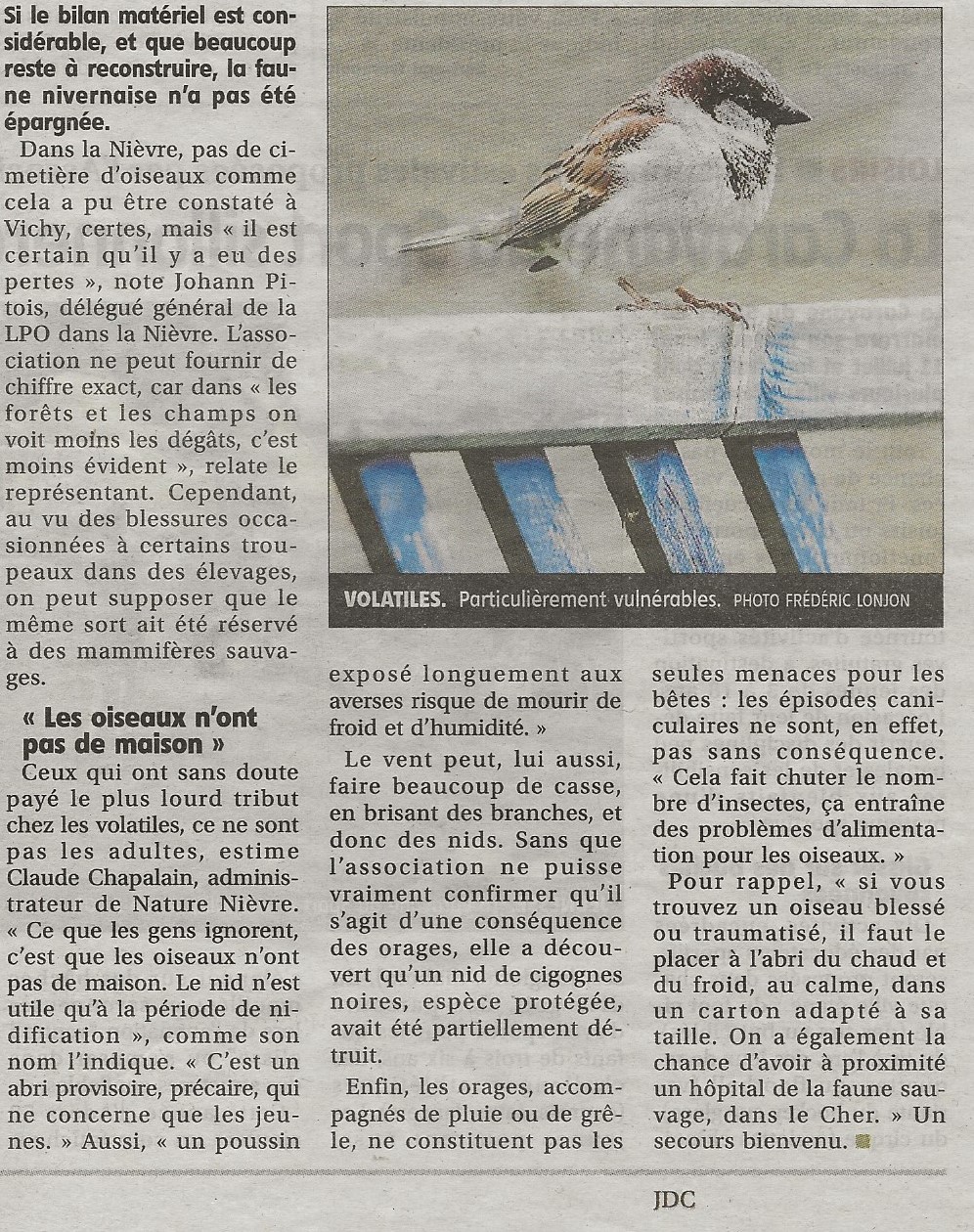 Des oiseaux sans maison...