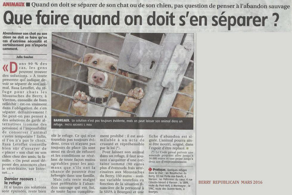 Article de journal sur la faon de se séparer au mieux de son animal de compagnie