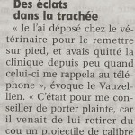 Article de journal sur un chat atteint par un tir de carabine !