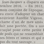 Article de journal sur les retrouvailles entre un chat perdu depuis 2016 et sa matresse