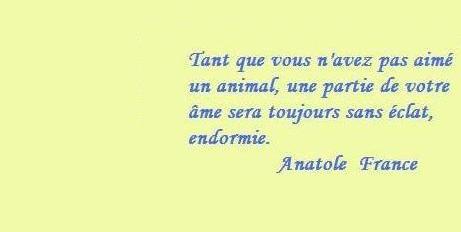 texte poesie